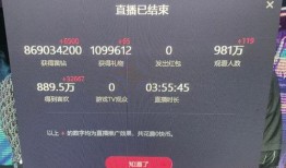 ks平台最新爆料,揭秘最新热门项目内幕